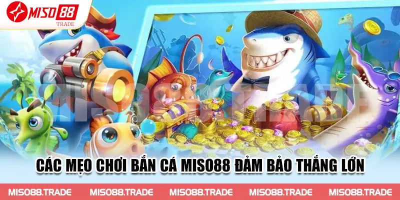 Các mẹo chơi Bắn Cá Miso88 đảm bảo thắng lớn